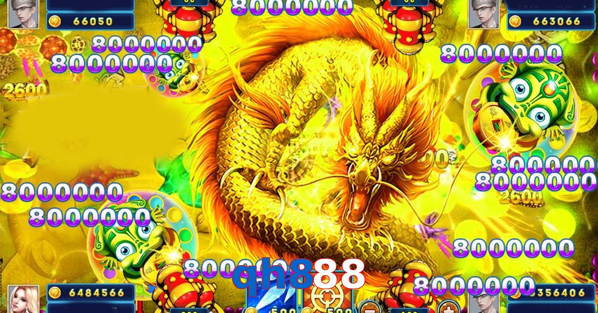 qh888